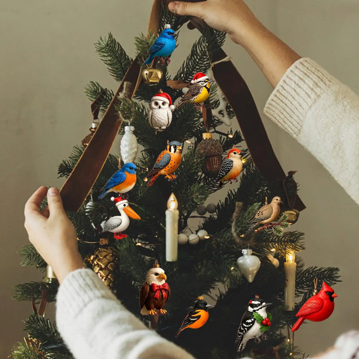 2026 Christmas Calendar Advent 2D Acrylic Bird Collectible Decoration  Countdown Calendar for Trees Windowsill Mantel Office